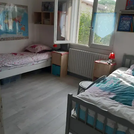 호텔 De 4 Avec Piscine Privee Et Terrasse Amenagee A La Salvetat Saint Gilles 4*